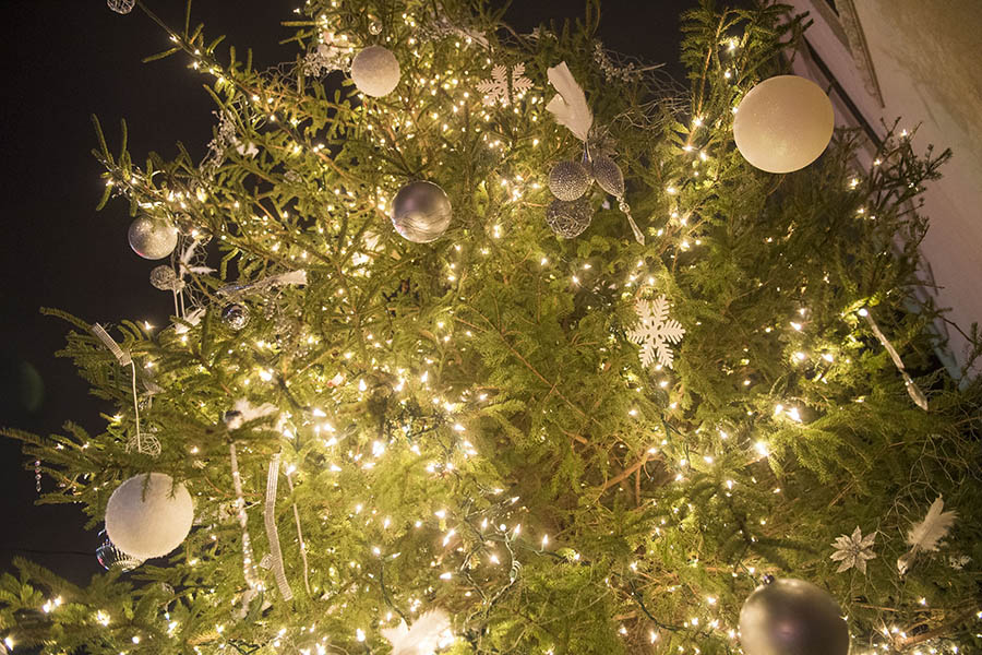 Lawrence Park: Christmas